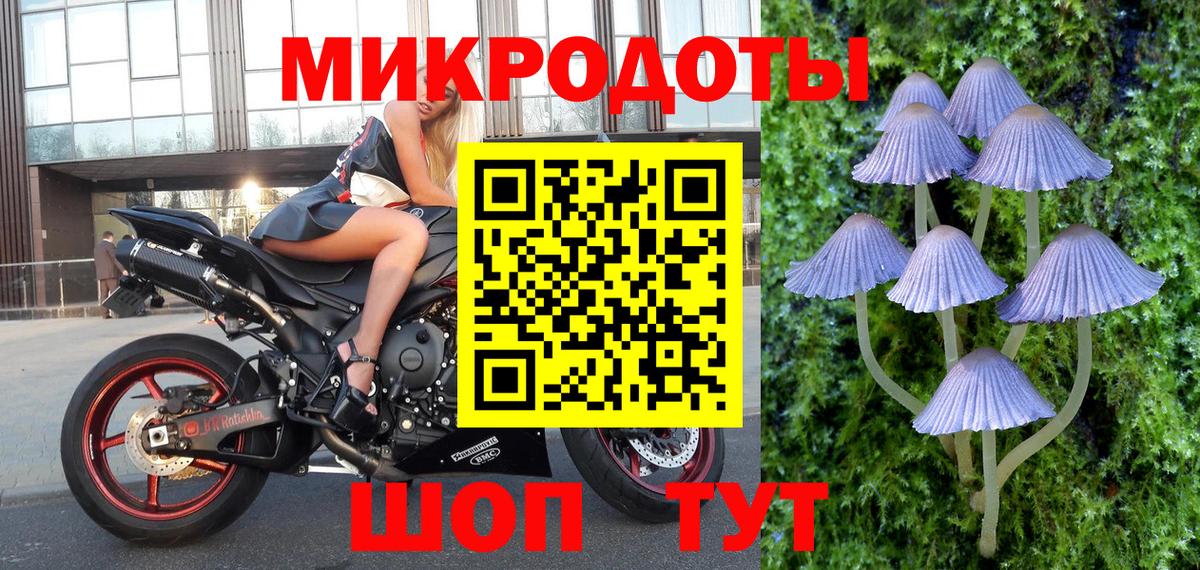 Галлюциногенные грибы GOLDEN TEACHER  Вход с VPN  купить наркотик  Гатчина 